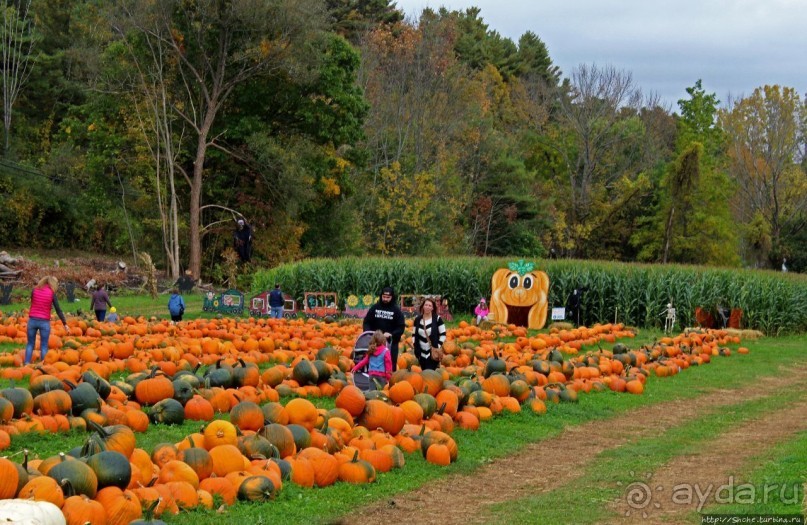 В гостях у Радуги. Оранжевое настроение