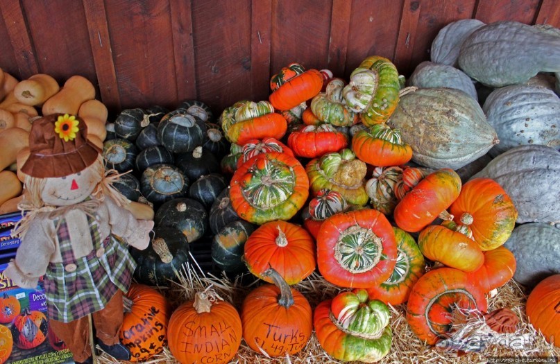В гостях у Радуги. Оранжевое настроение