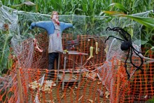 В гостях у Радуги. Оранжевое настроение