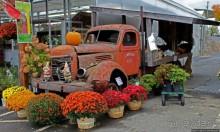 В гостях у Радуги. Оранжевое настроение