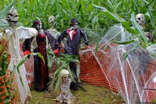 В гостях у Радуги. Оранжевое настроение