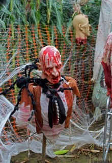 В гостях у Радуги. Оранжевое настроение