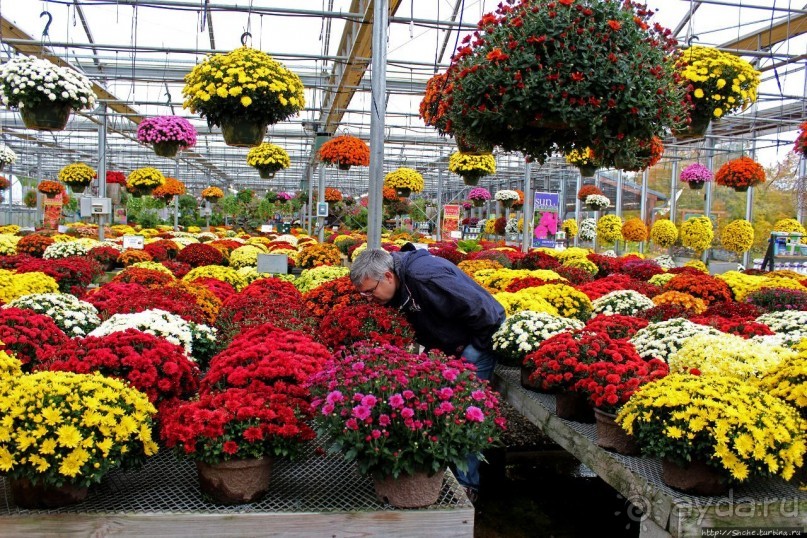 В гостях у Радуги. Оранжевое настроение