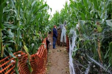 В гостях у Радуги. Оранжевое настроение