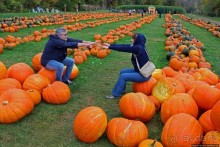 В гостях у Радуги. Оранжевое настроение