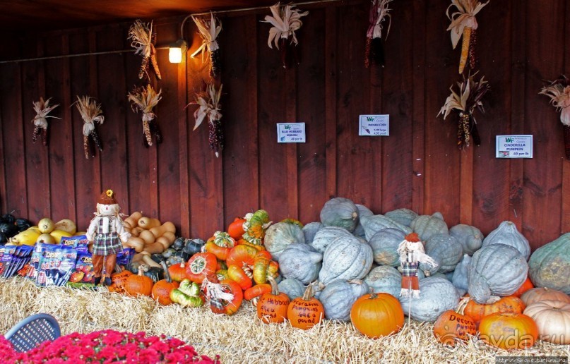 В гостях у Радуги. Оранжевое настроение