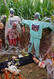 В гостях у Радуги. Оранжевое настроение