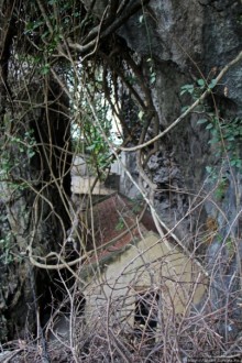 Гора Стихов — почувствуй себя вьетнамским императором