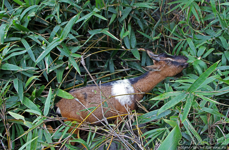 Гора Стихов — почувствуй себя вьетнамским императором