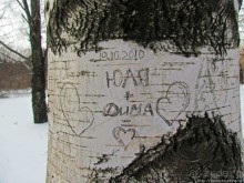 Дендропарк Харьковского агроуниверситета. Ясный зимний день