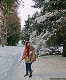 Дендропарк Харьковского агроуниверситета. Ясный зимний день