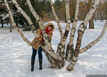 Дендропарк Харьковского агроуниверситета. Ясный зимний день