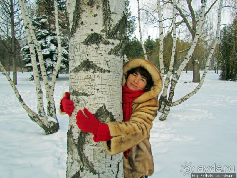 Дендропарк Харьковского агроуниверситета. Ясный зимний день