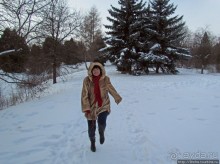 Дендропарк Харьковского агроуниверситета. Ясный зимний день