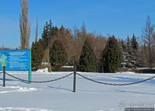 Дендропарк Харьковского агроуниверситета. Ясный зимний день