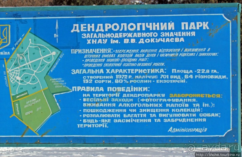 Дендропарк Харьковского агроуниверситета. Ясный зимний день