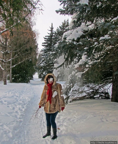Дендропарк Харьковского агроуниверситета. Ясный зимний день