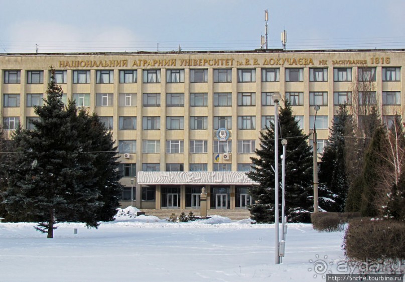 Дендропарк Харьковского агроуниверситета. Ясный зимний день