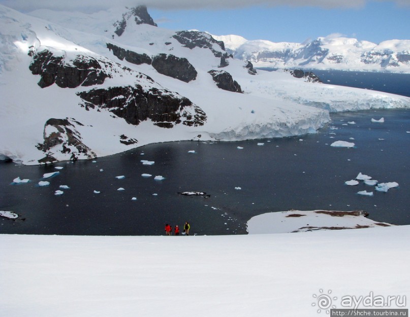 Антарктида с высоты птичьего полета. Какого же цвета вода?