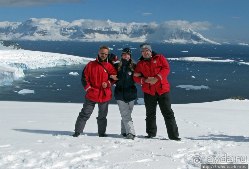 Антарктида с высоты птичьего полета. Какого же цвета вода?