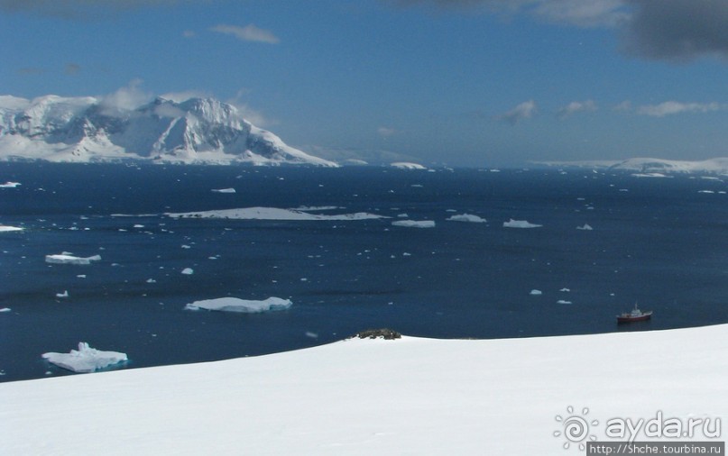 Антарктида с высоты птичьего полета. Какого же цвета вода?