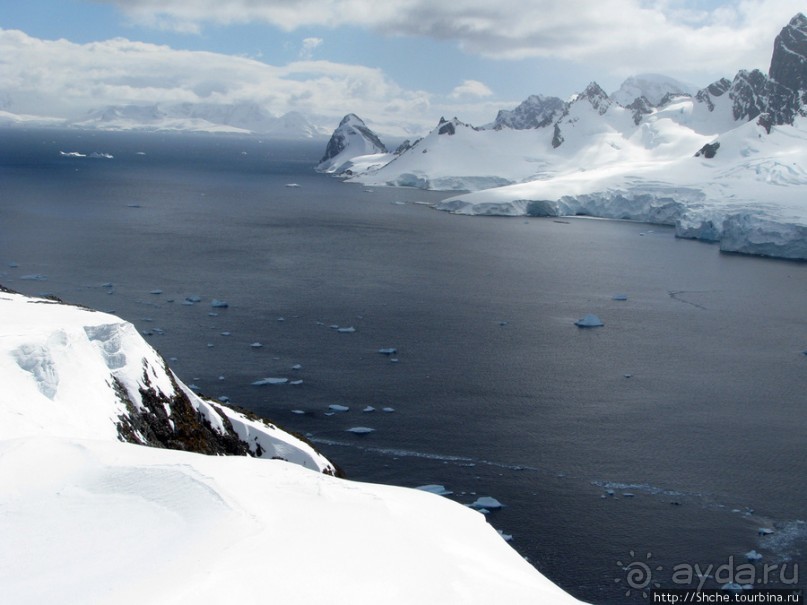 Антарктида с высоты птичьего полета. Какого же цвета вода?