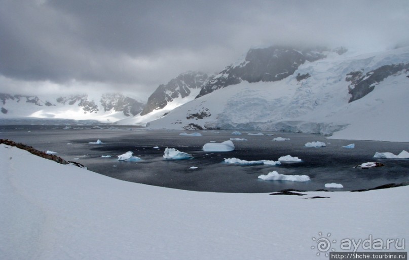 Антарктида с высоты птичьего полета. Какого же цвета вода?