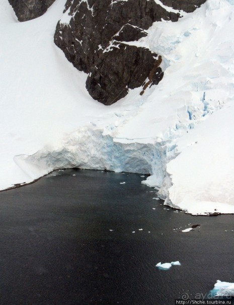 Антарктида с высоты птичьего полета. Какого же цвета вода?