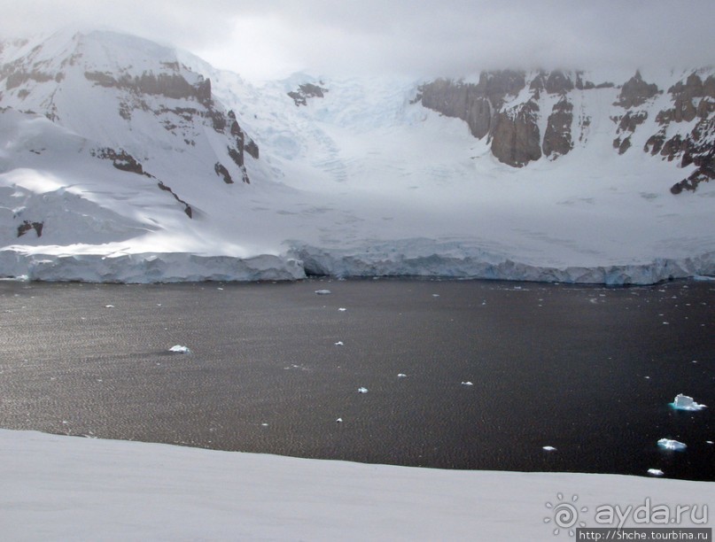 Антарктида с высоты птичьего полета. Какого же цвета вода?