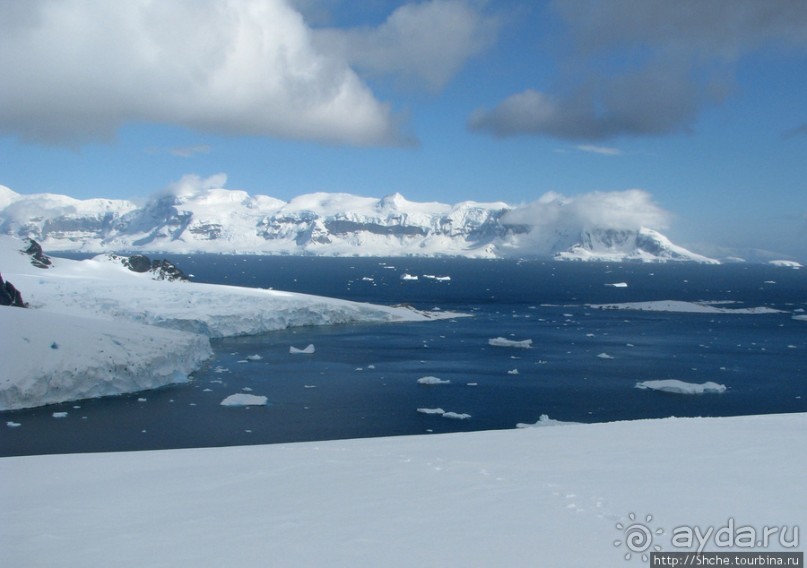 Антарктида с высоты птичьего полета. Какого же цвета вода?