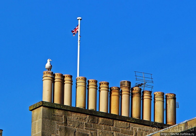 Частоколы каминных труб на крышах Эдинбурга