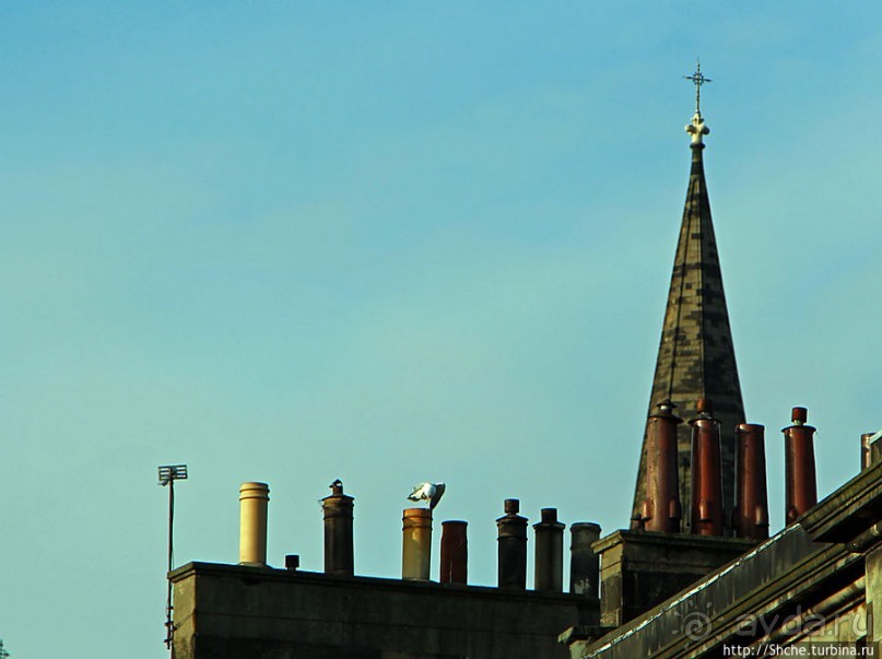 Частоколы каминных труб на крышах Эдинбурга