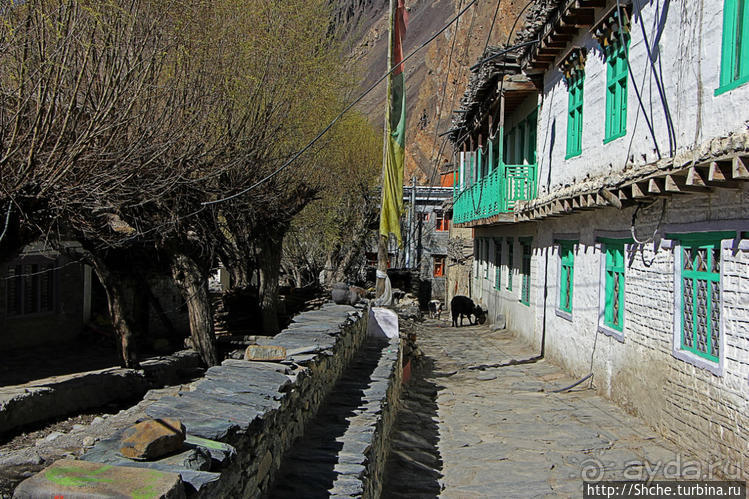 Кагбени — истинные ворота Мустанга, зеленый оазис в горах