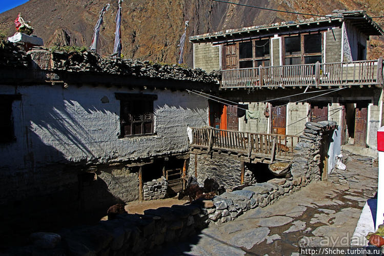 Кагбени — истинные ворота Мустанга, зеленый оазис в горах