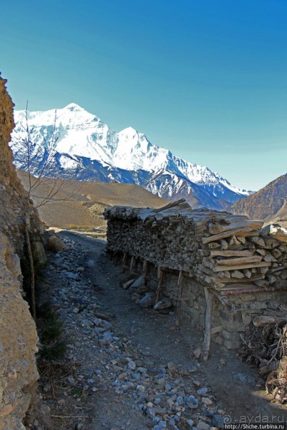 Кагбени — истинные ворота Мустанга, зеленый оазис в горах