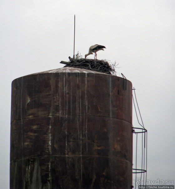 Костел св.Иосифа - усыпальница Ржевусских.