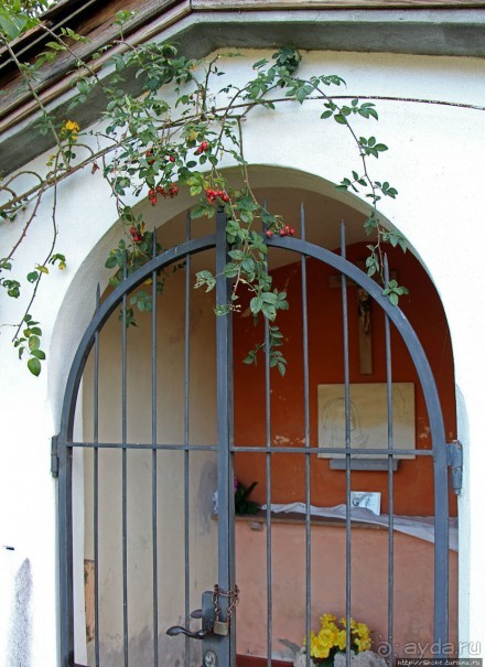 Полдня в тени Сан-Джорджио