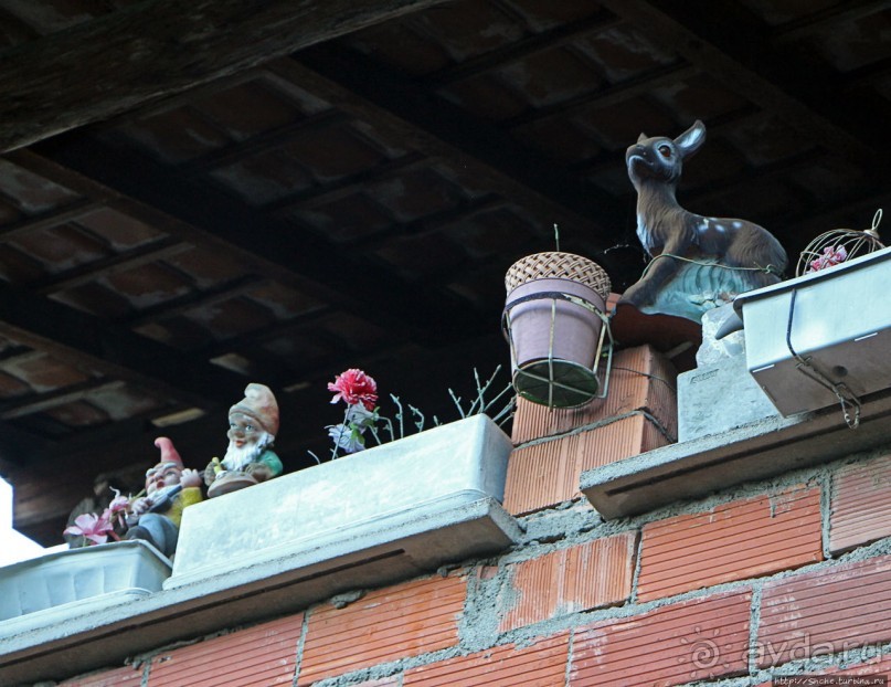 Полдня в тени Сан-Джорджио