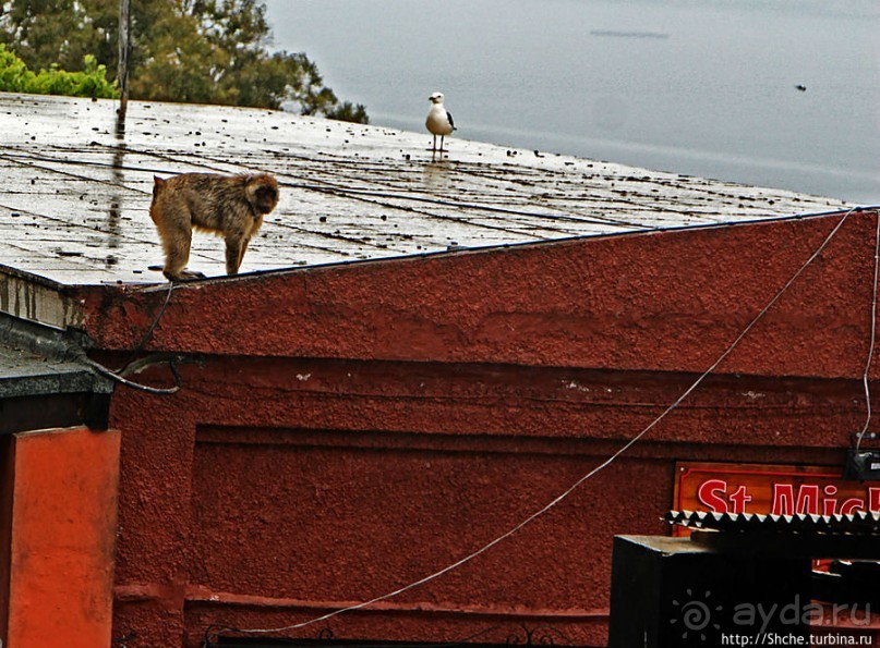 Диковинные сталактиты и причудливые сталагмиты св. Михаила