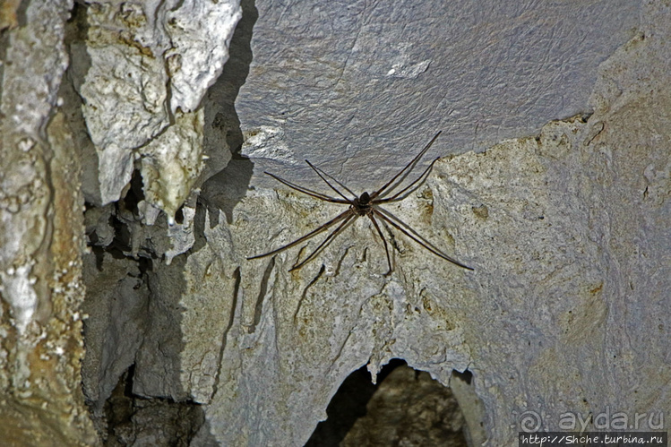 Альбом отзыва "Полые скалы Вьетнама: долина Tan Hoa и первая пещера"