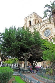 Центральный парк, где деревья реально большие