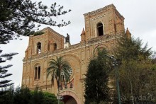 Центральный парк, где деревья реально большие