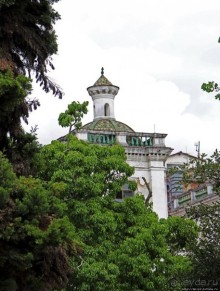 Центральный парк, где деревья реально большие