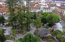 Центральный парк, где деревья реально большие