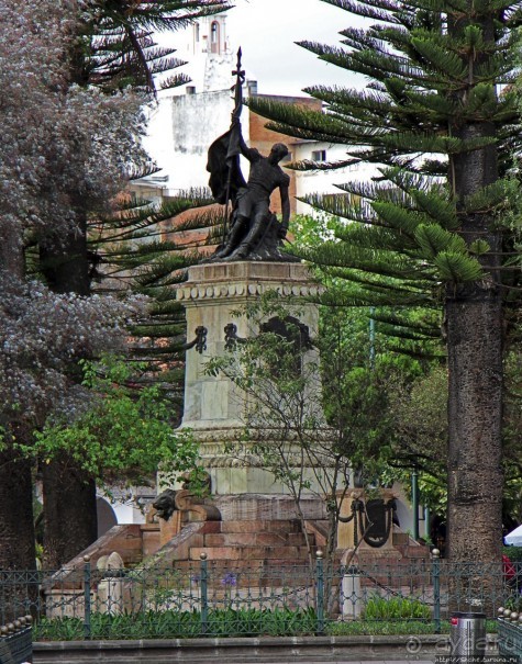 Центральный парк, где деревья реально большие