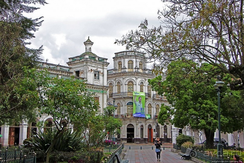 Центральный парк, где деревья реально большие