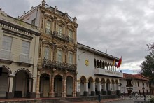 Центральный парк, где деревья реально большие