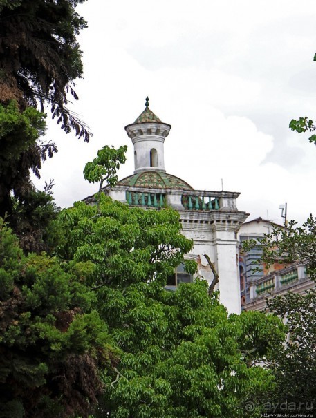 Центральный парк, где деревья реально большие