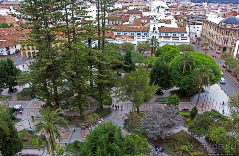 Центральный парк, где деревья реально большие