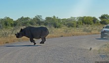 Селфдрайв по национальному парку Этоша. Вечерняя проба